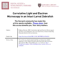 Correlative Light and Electron Microscopy in an Intact Larval Zebrafish