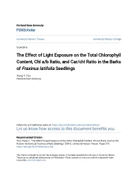 The Effect of Light Exposure on the Total Chlorophyll Content, Chl A/B Ratio, and Car/Chl Ratio in the Barks of Fraxinus Latifolia Seedlings