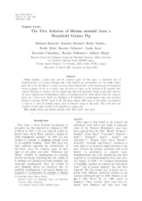 The First Isolation of Hortaea Zverneckii from a Household Guinea Pig