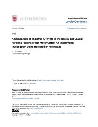 A Comparison of Thalamic Afferents to the Rostral and Caudal Forelimb Regions of Rat Motor Cortex: an Experimental Investigation Using Horseradish Peroxidase