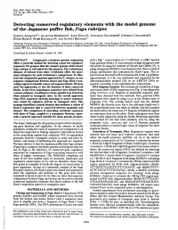 Detecting Conserved Regulatory Elements with the Model Genome Of