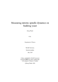Measuring Mitotic Spindle Dynamics in Budding Yeast