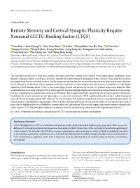 Remote Memory and Cortical Synaptic Plasticity Require Neuronal CCCTC-Binding Factor (CTCF)