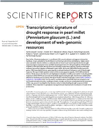 Transcriptomic Signature of Drought Response in Pearl Millet
