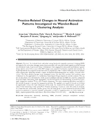 Practicerelated Changes in Neural Activation Patterns Investigated Via