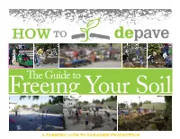 The Guide To