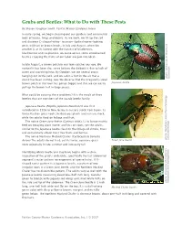 Grubs and Beetles: What to Do with These Pests