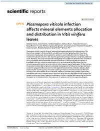 Plasmopara Viticola Infection Affects Mineral Elements Allocation And