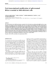 Post-Transcriptional Modification of Spliceosomal Rnas Is Normal in SMN-Deficient Cells