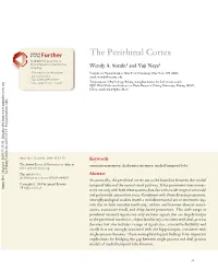 The Perirhinal Cortex