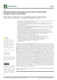 Phosphorylation-Dependent Interactome of Ryanodine Receptor Type 2 in the Heart