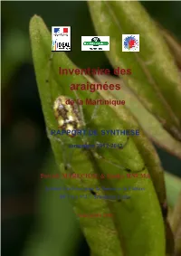 Rapport Inventaire