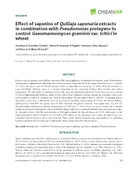 Effect of Saponins of Quillaja Saponaria Extracts in Combination with Pseudomonas Protegens to Control Gaeumannomyces Graminis Var
