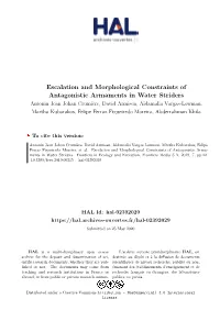 Escalation and Morphological Constraints of Antagonistic