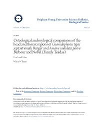 Osteological and Mylogical Comparisons of the Head and Thorax