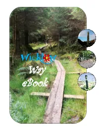 Wicklow Way Ebook