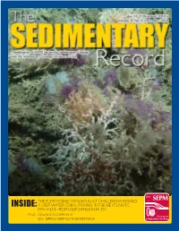 Inside:The Pleistocene Cooling Built