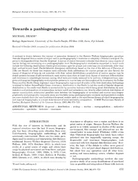 Towards a Panbiogeography of the Seas