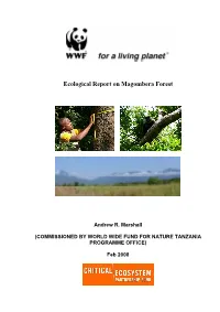 Ecological Report on Magombera Forest
