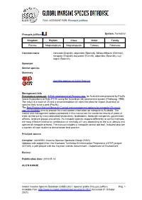 Prosopis Juliflora Global Invasive Species Database (GISD)