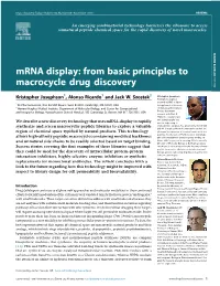 Mrna Display: from Basic Principles to KEYNOTE REVIEW