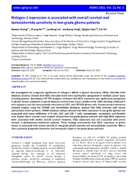 Nidogen-1 Expression Is Associated with Overall Survival and Temozolomide Sensitivity in Low-Grade Glioma Patients