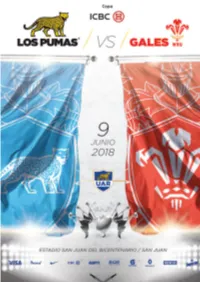 Programa-Los-Pumas-V-Gales-SJ.Pdf