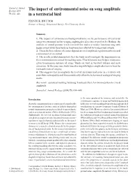 The Impact of Environmental Noise on Song Amplitude in a Territorial Bird