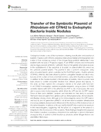 Transfer of the Symbiotic Plasmid of Rhizobium Etli CFN42 to Endophytic Bacteria Inside Nodules