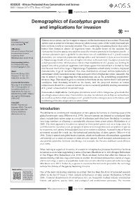 Demographics of Eucalyptus Grandis and Implications for Invasion