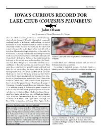 Iowa's Curious Record for Lake Chub