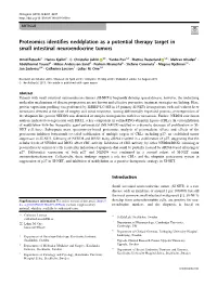 Proteomics Identifies Neddylation As a Potential Therapy Target in Small