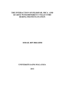 The Interaction of Feldspar, Mica and Quartz with Different Collectors During Froth Flotation