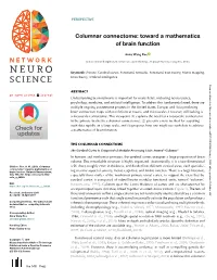 Toward a Mathematics of Brain Function