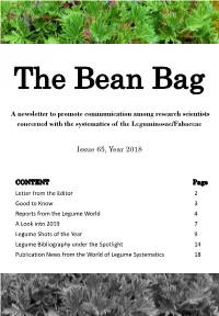 Bean Bag Newsletter Issue 65.Pdf