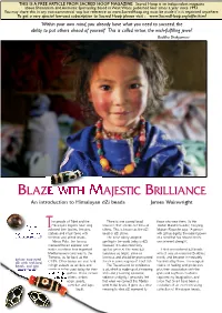 BLAZE with MAJESTIC BRILLIANCE an Introduction to Himalayan Dzi Beads James Wainwright