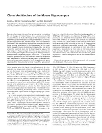 Clonal Architecture of the Mouse Hippocampus
