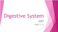 Digestive System A&P DHO 7.11 Digestive System