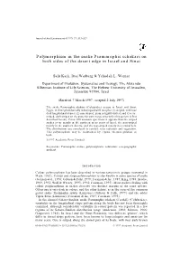 Polymorphism in the Snake Psammophis Schokari on Both Sides of the Desert Edge in Israel and Sinai