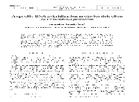 A Specific DNA Hybridization Probe for Detection of Pasteurella Piscicida