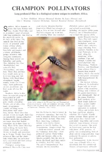 Champion Pollinators