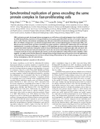 Synchronized Replication of Genes Encoding the Same Protein Complex in Fast-Proliferating Cells
