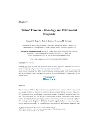 Wilms' Tumour – Histology and Differential Diagnosis