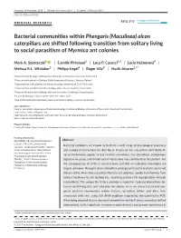 Bacterial Communities Within Phengaris (Maculinea) Alcon