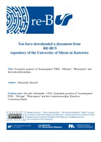 "Isometopinae" FIEB : "Miridae", "Heteroptera" and Their Intrarelationships