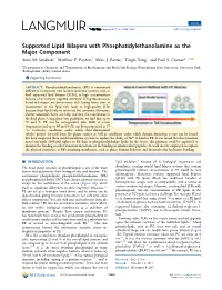 Supported Lipid Bilayers with Phosphatidylethanolamine As the Major Component † † † † † ‡ Anne M