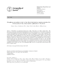 Phosphene Perception Is Due to the Ultra-Weak Photon Emission Produced in Various Parts of the Visual System: Glutamate in the Focus