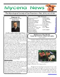 Candy Cap Odor – the Mystery Solved by D