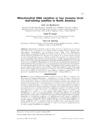 Mitochondrial DNA Variation in Two Invasive Birch Leaf-Mining Sawflies in North America