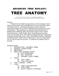 Tree Anatomy I